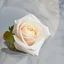 A single rose is the perfect pairing - Image 2